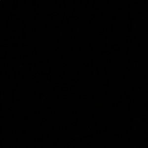 Meet your Posher, Abbey